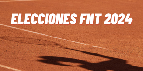 Elecciones 2024